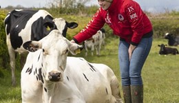 New West Midlands dairy knowledge exchange manager 